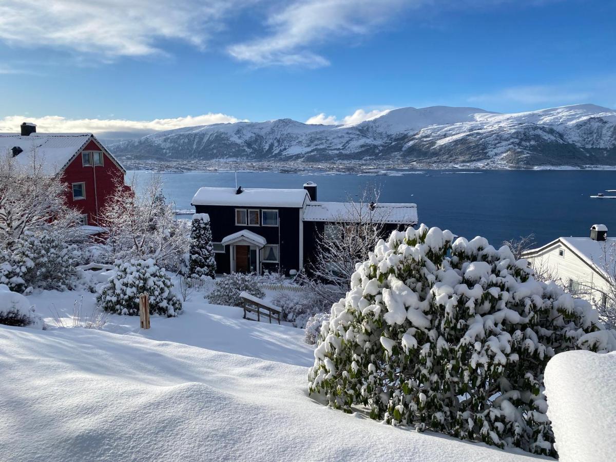 Great Place With View To The Mountains And Fjord Олесунн Экстерьер фото